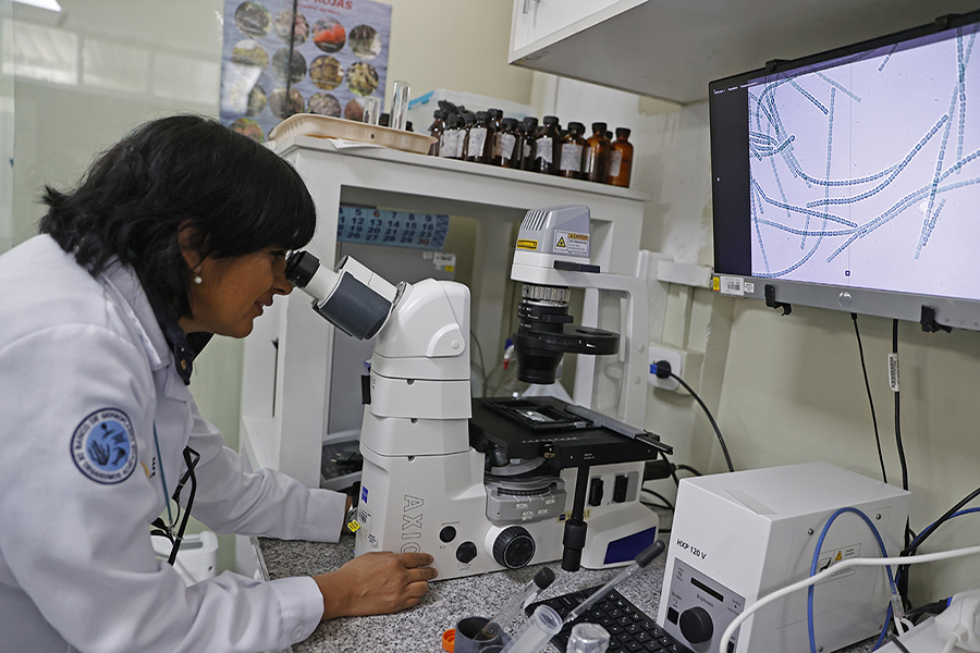 ¡Invaluable! Mar peruano tiene un banco más valioso que el dinero